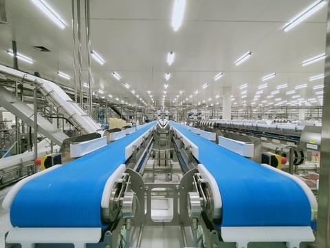 Empty conveyor belt in food processing factory production line for poultry processing