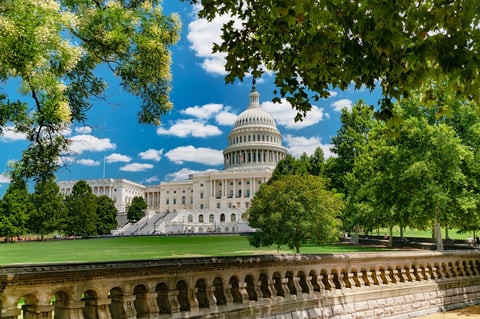 United States Capitol framed by lush summer foliage. The iconic dome of the U.S. Capitol peeks through vibrant green trees.